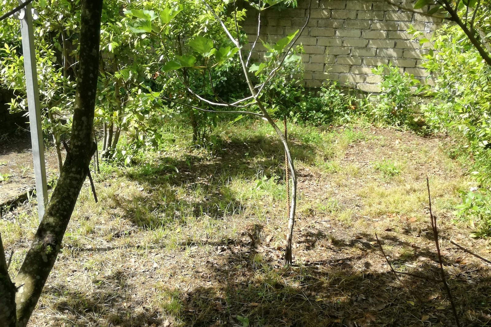 Piazzola per tenda — На приватній землі in Pomezia