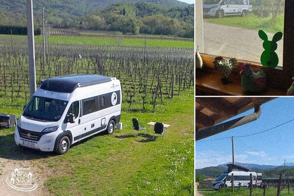 Camping fra i vigneti