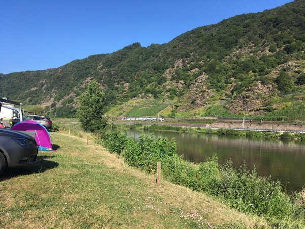 Mosel Camping Cochem — Photo 3