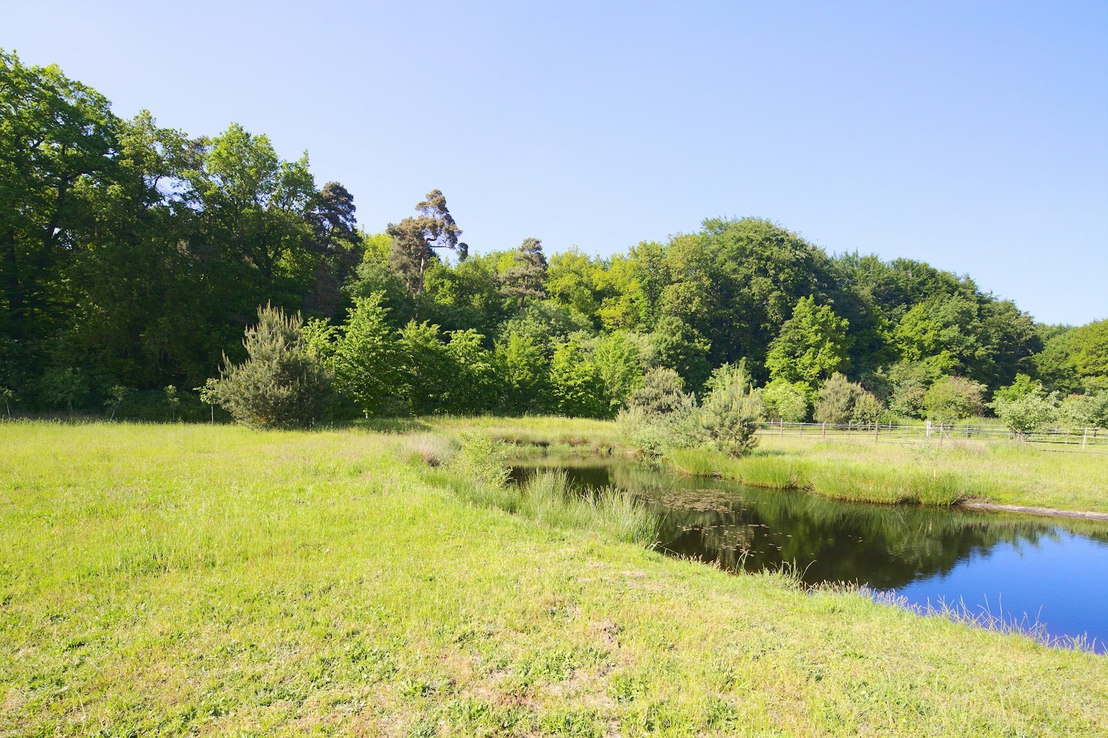Wiese mit Teich direkt am Waldrand — On private ground in Vrees