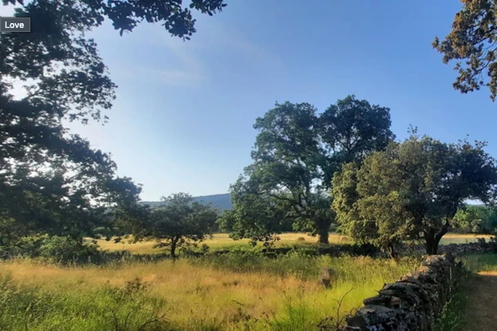 Finca aislada junto al río Tormes. Ecológica, vallada. — On private ground in Campo Arañuelo