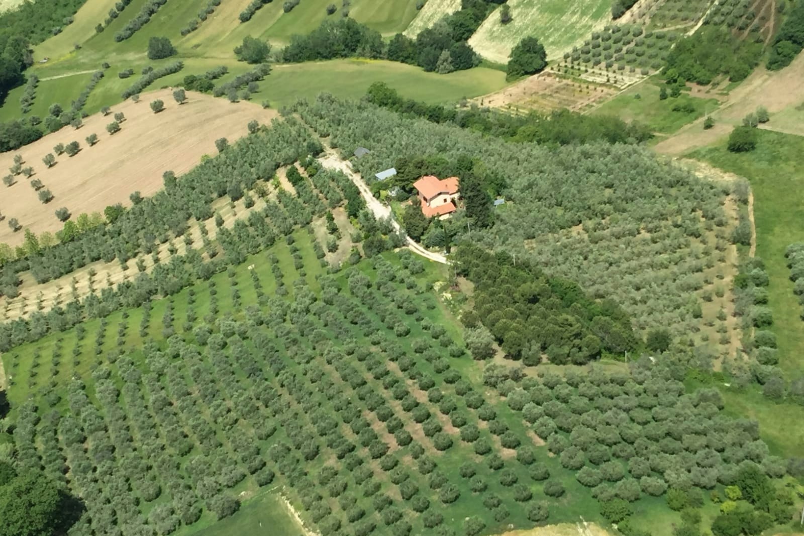 Camp Oliveto — On private ground in Tortoreto