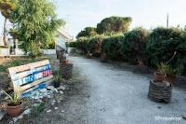 Vicino al mare