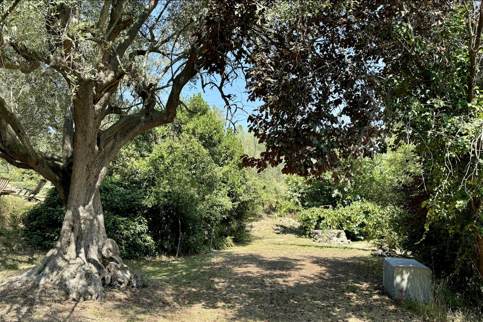 Le Puits de Mougins — On private ground in Mougins