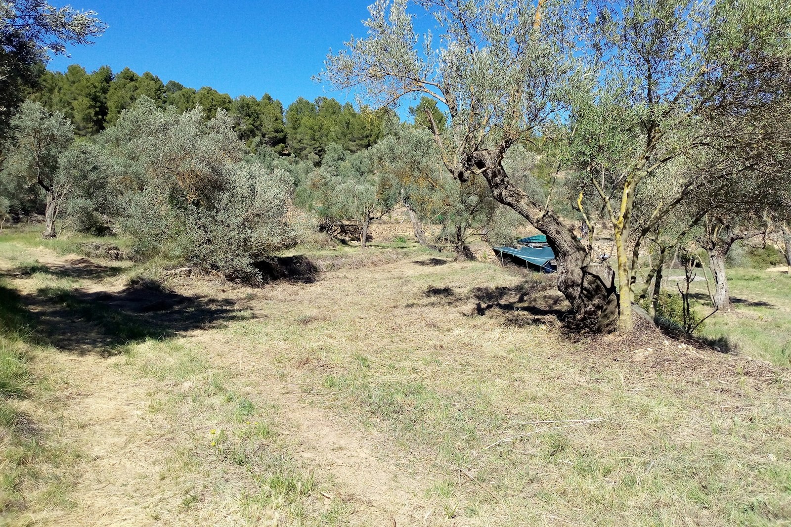 Disfrutar en la Montaña — På privateiendom in Arens de Lledó