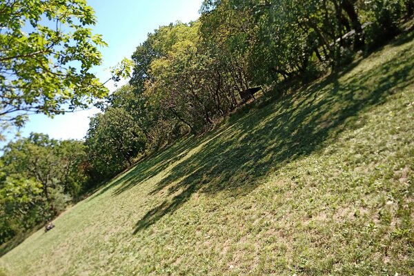 Karsthellani Garden