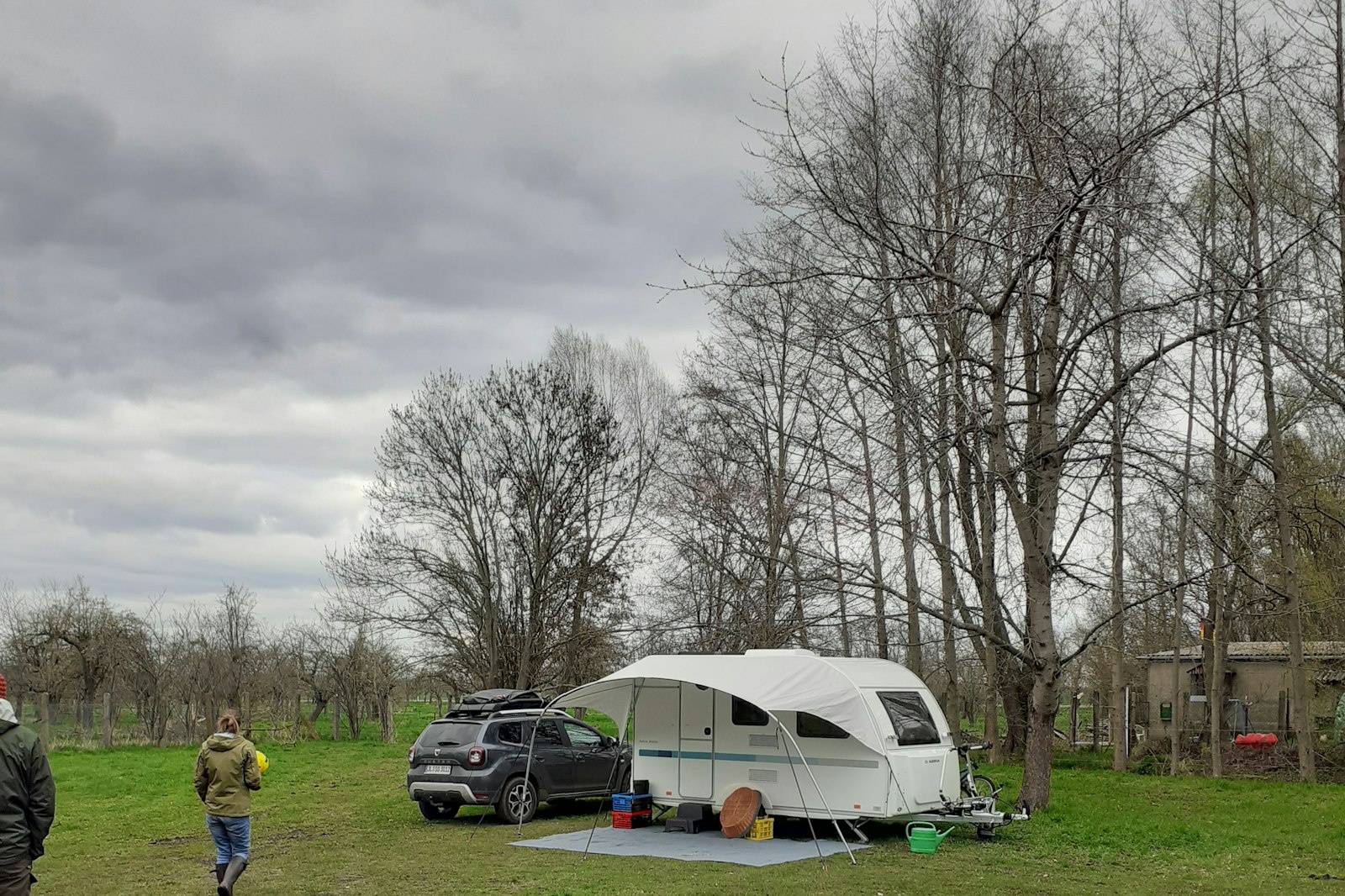 Wiese an der Pferde- Rinder- Koppel / Obstwiese — On private ground in Ballenstedt