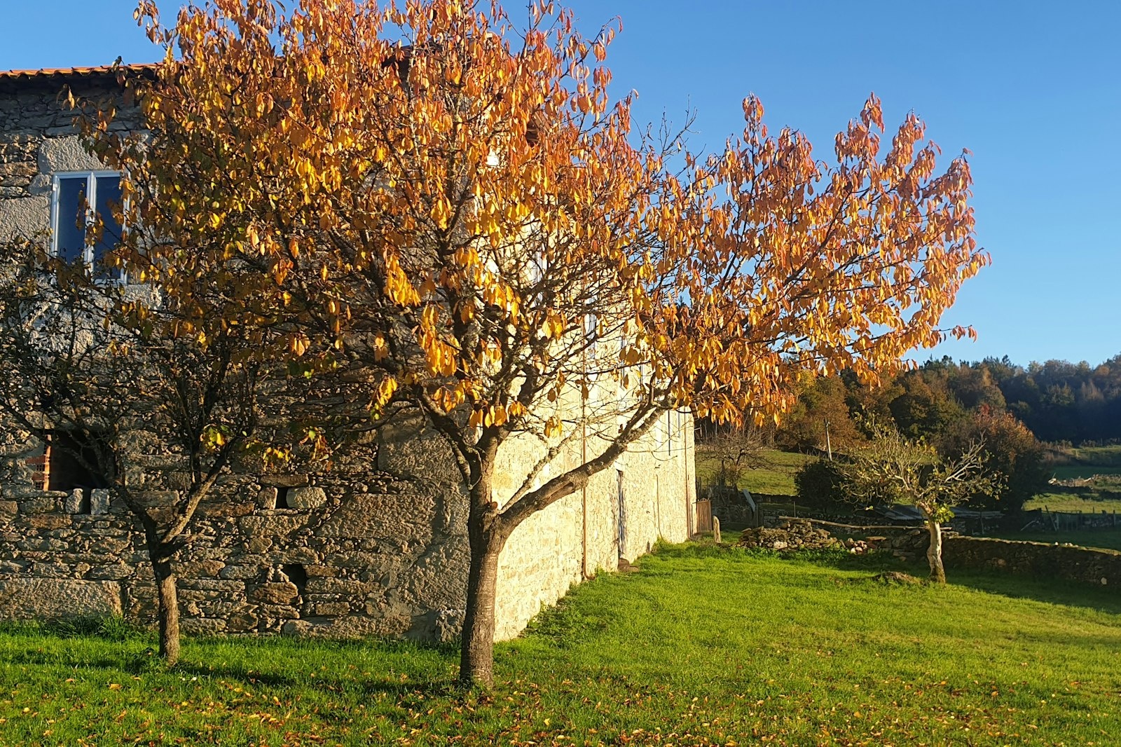 Bodega Val da Lenda — On private ground in Cantón