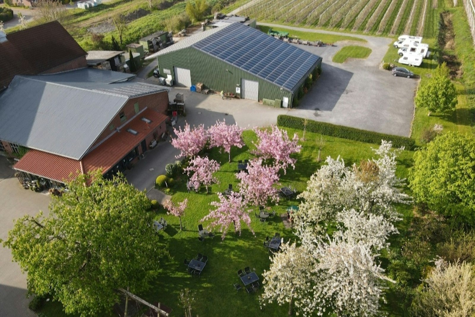 Wiese vor Obstplantage — On private ground in Jork