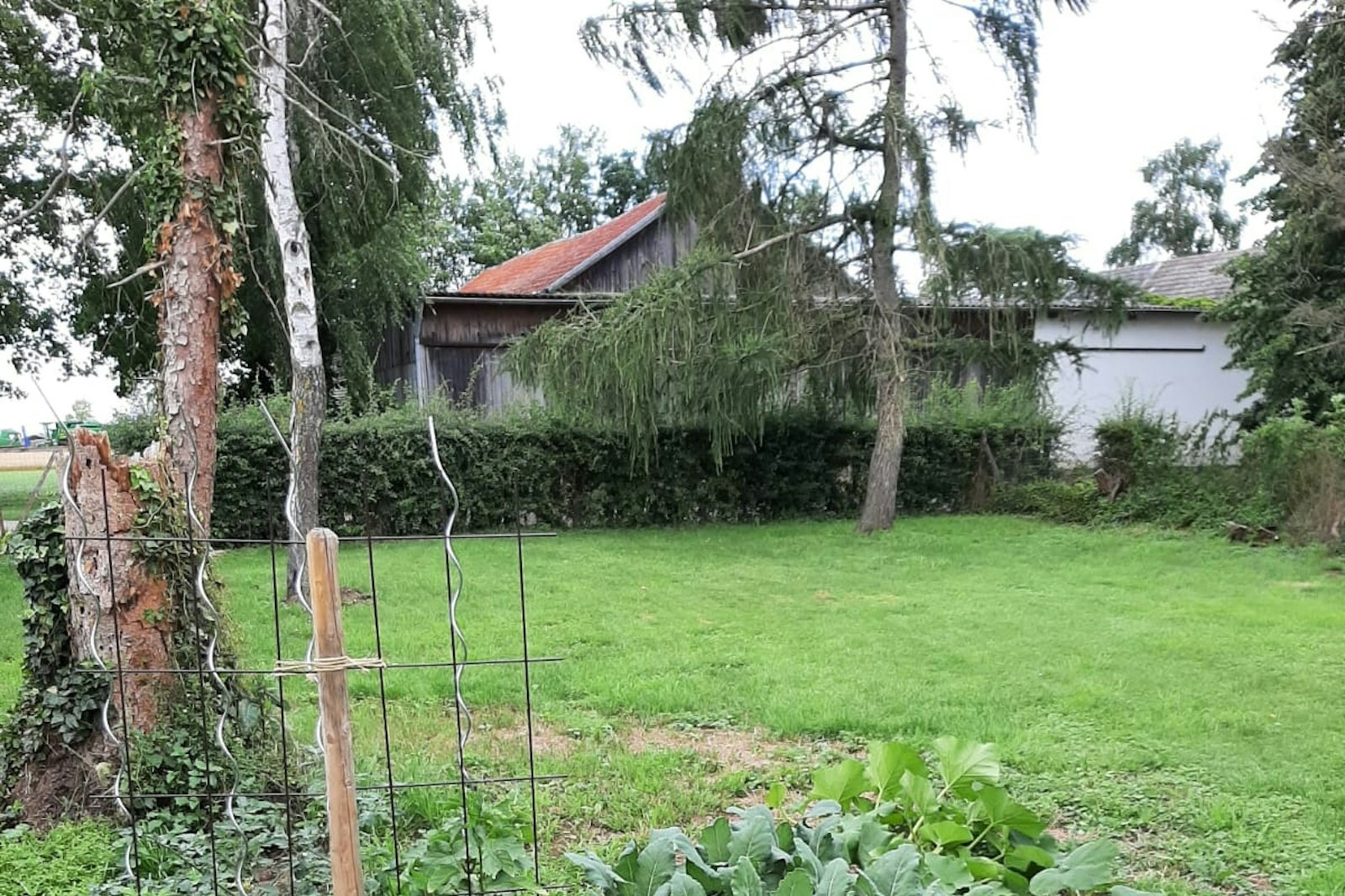 Naturgarten am Feldrand — On private ground in Weilerswist