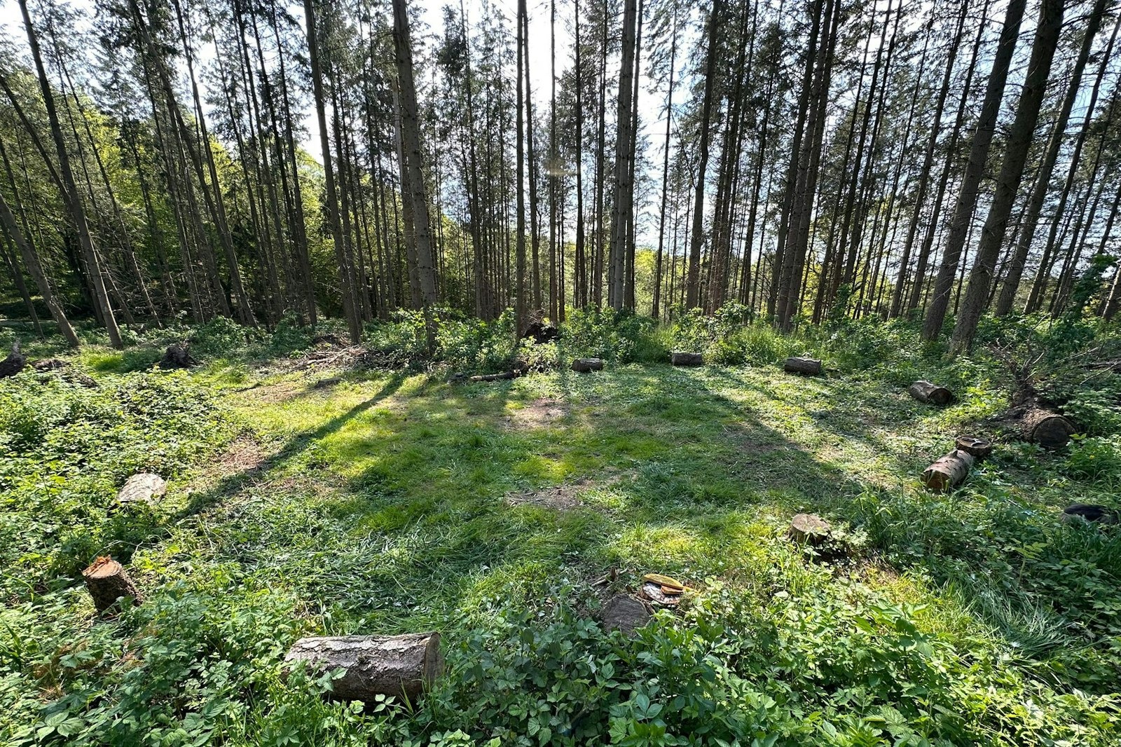 Waldbaden pur — On private ground in Malente