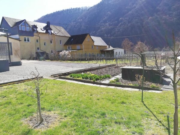 Weingut Loosen — Winery in Ellenz-Poltersdorf