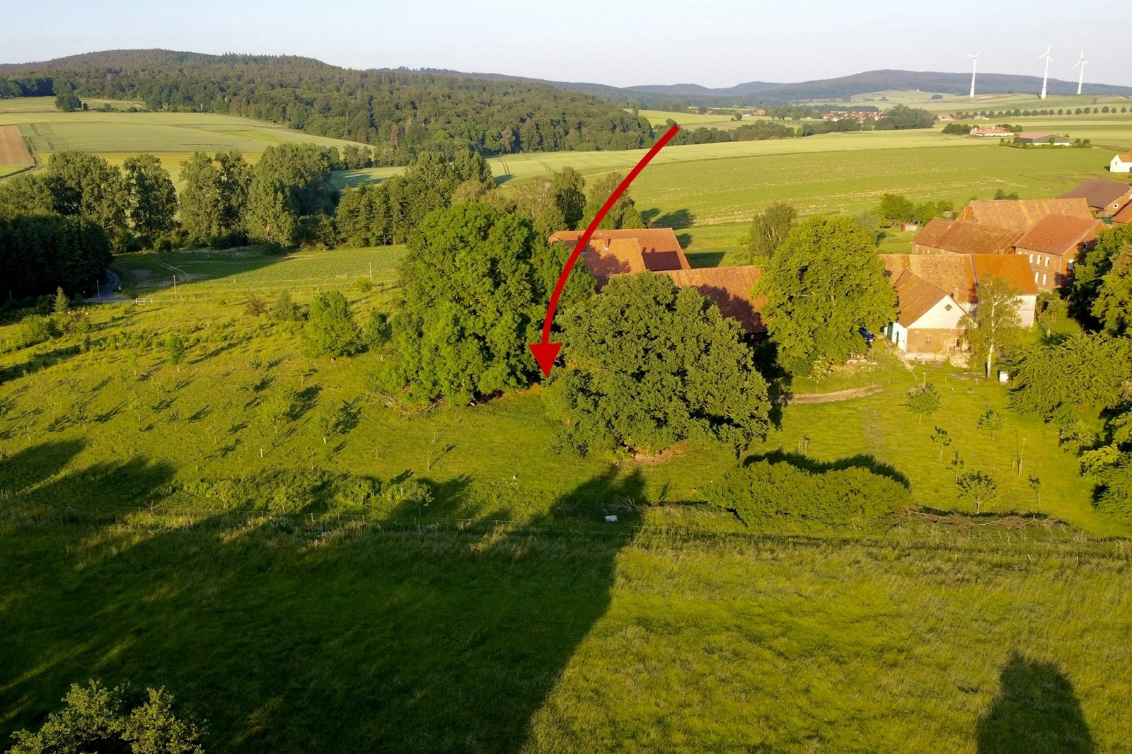 Schattiges Plätzchen unter alten Bäumen (3/3) — On private ground in Bad Münder am Deister