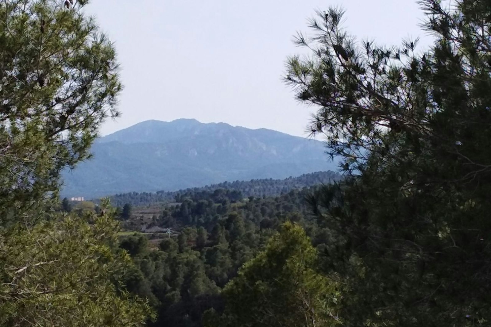 Finca Simply Be — On private ground in Benissanet