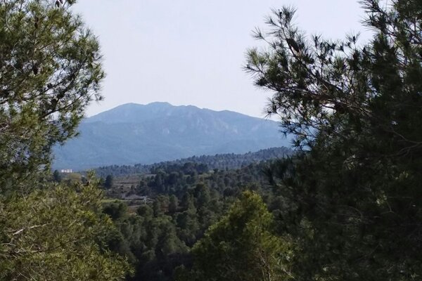 Finca Simply Be