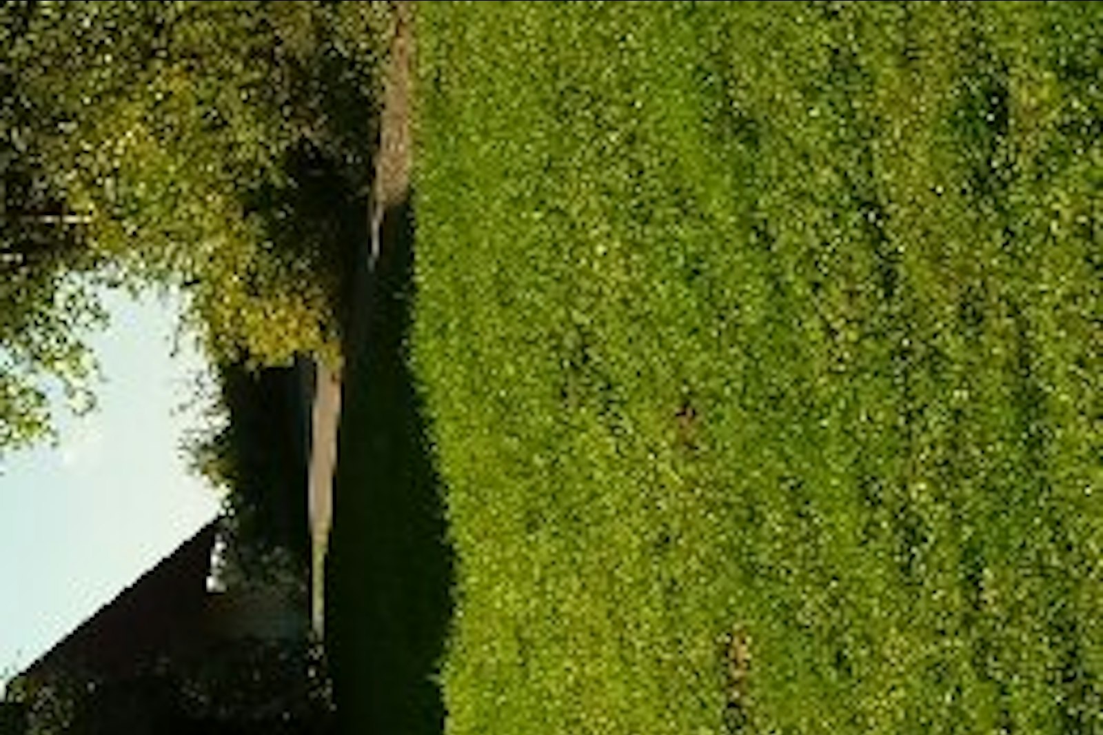 Wiese in ruhiger Lage nähe Graz — On private ground in Tobisegg