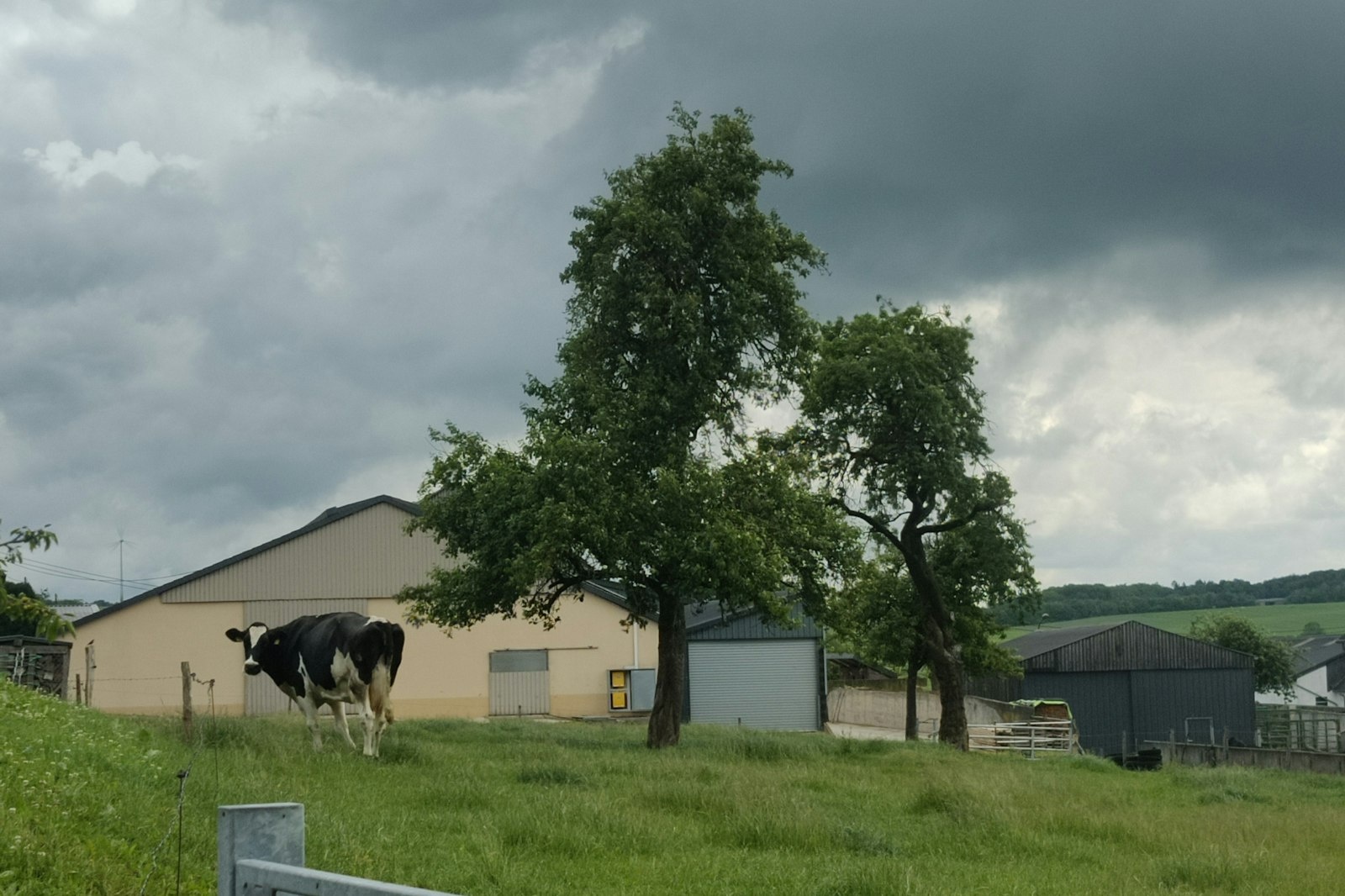 Schattiges Plätzchen unter einer Eiche — On private ground in Matzerath