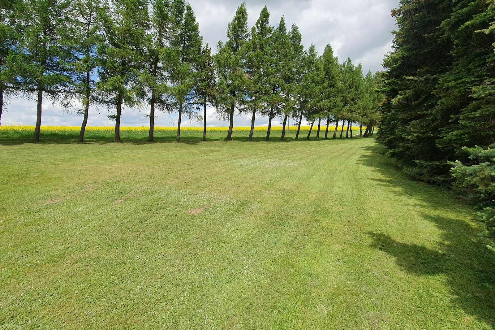 Wiese am Dorfrand — On private ground in Bad Gottleuba-Berggießhübel