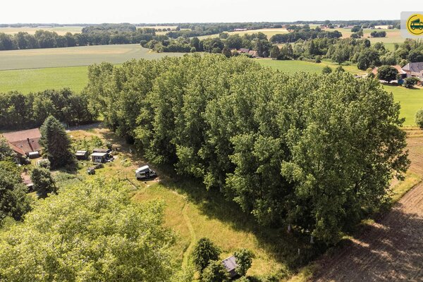 Ruhig gelegener Stellplatz auf Sandboden und Wiese