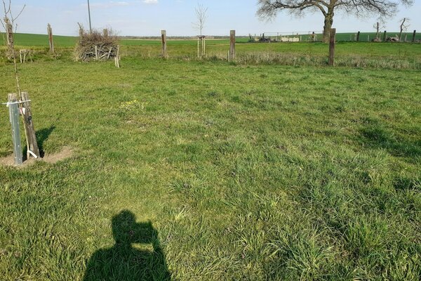 Windige Ecke am Feld und den ganzen Tag Sonne