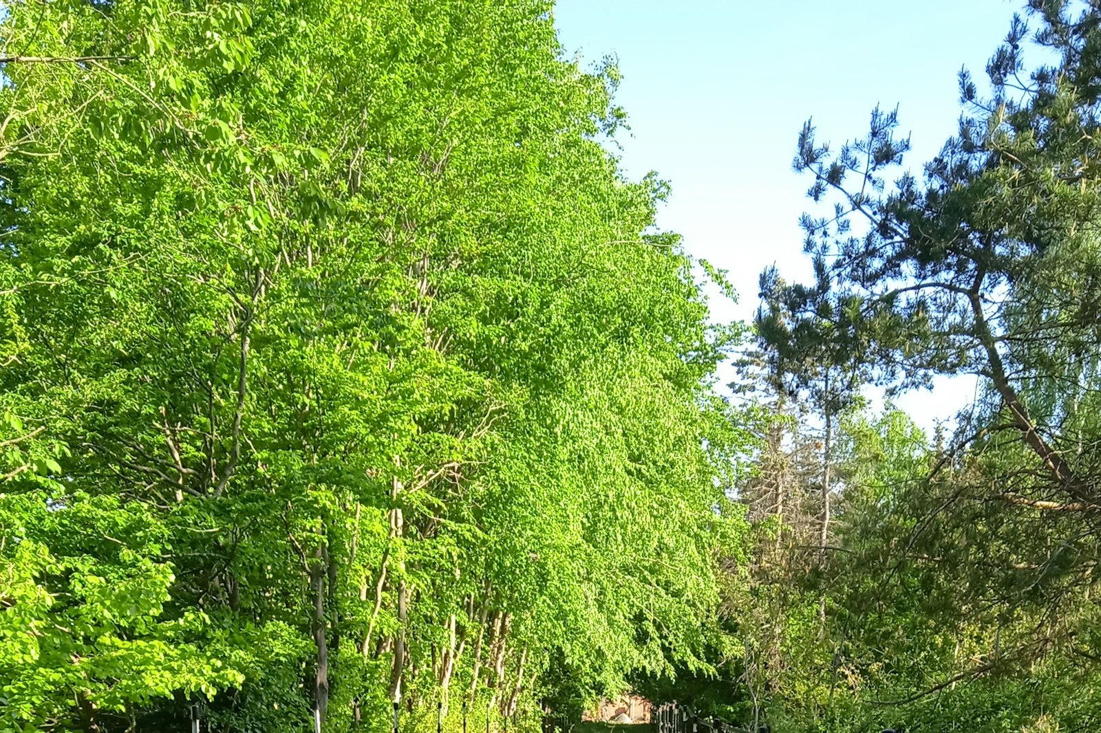 Camping am Waldrand auf Weide — Campingplats in Groß Kummerfeld