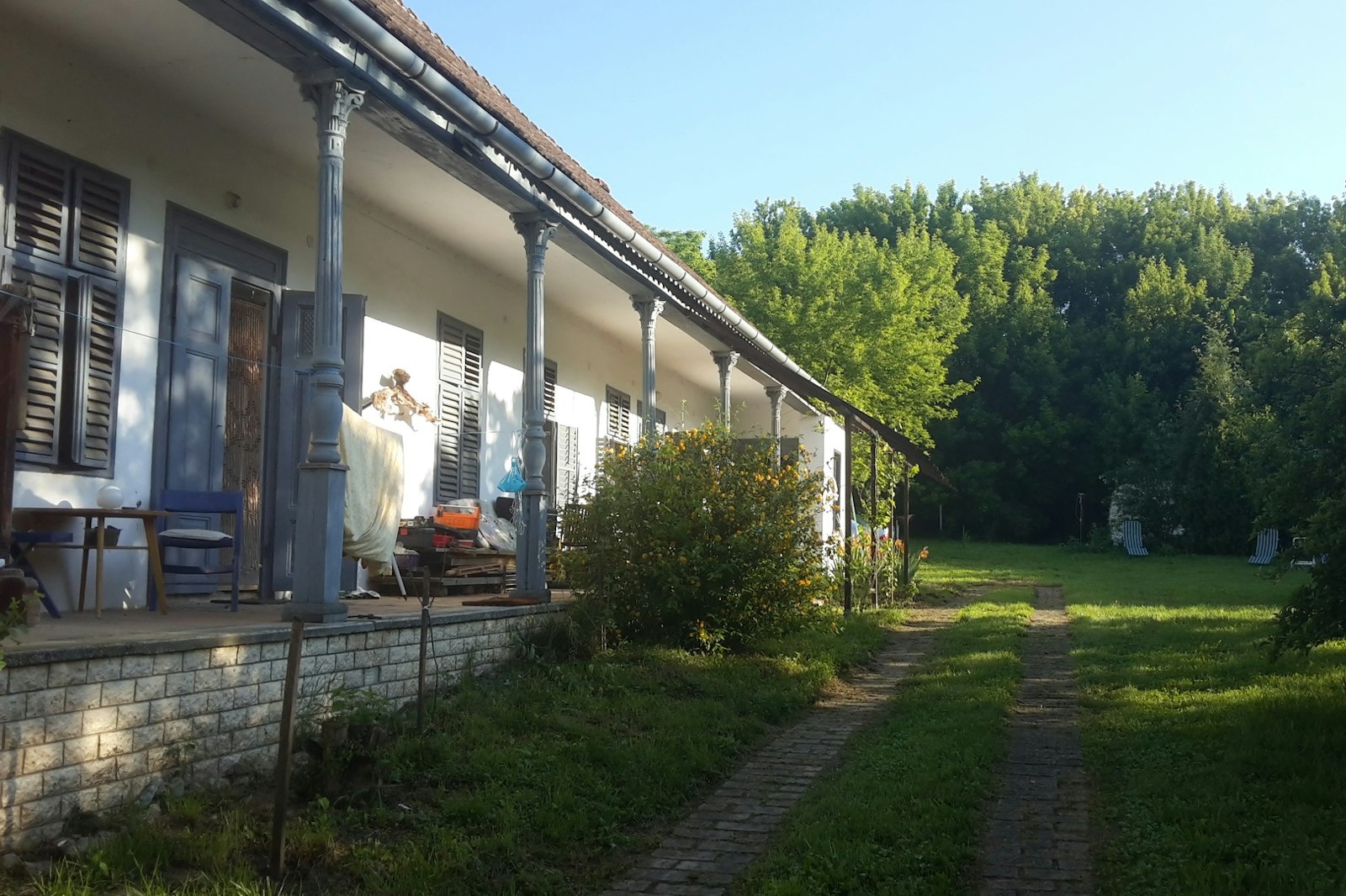 Naturrefugium im Süden Ungarns — On private ground in Kalaznó