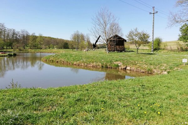 Wiese am Teich