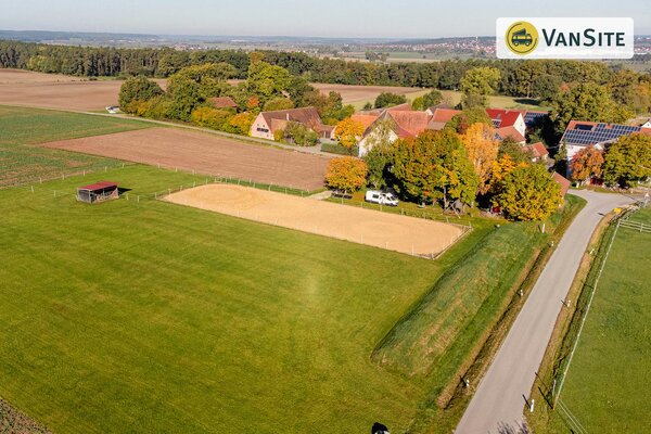 grünes Fleckchen am Reitplatz