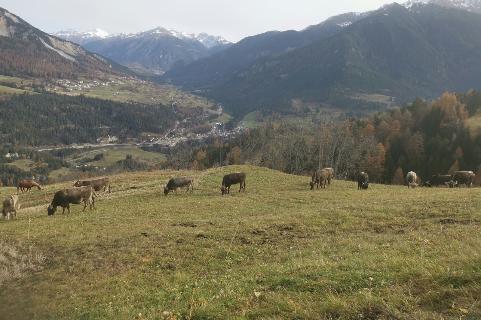 Schöner Stellplatz in Guregnas 7459 Stierva. — On private ground in Albula/Alvra