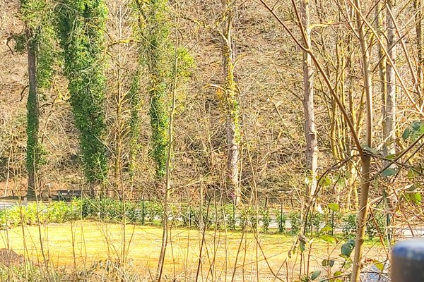 Villa Schöneck an der Sieg