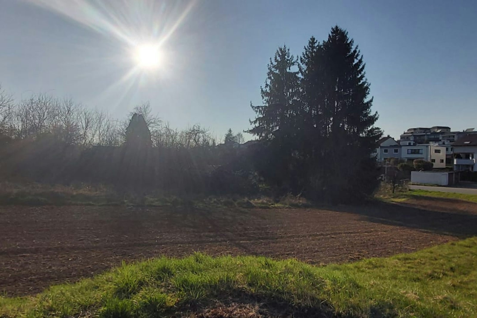 Schöner Stellplatz zwischen Tannen — On private ground in Neckarsulm