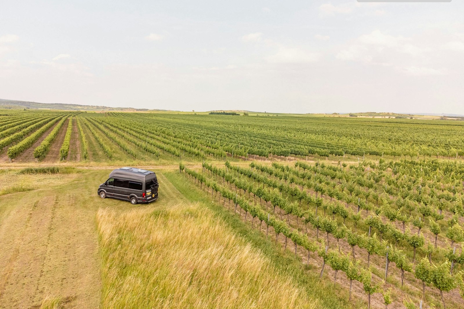 In den Weinbergen- Retzerland — On private ground in Schrattenthal