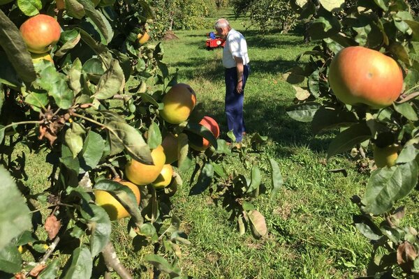 Ohne andere Camper: Obstwiesen-Yoga am Remstal-Radweg