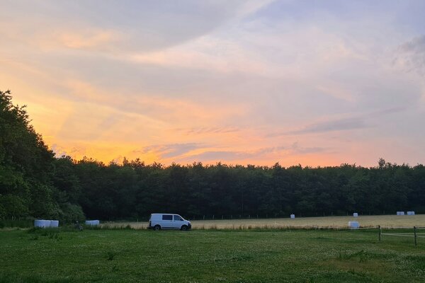 Wiese zwischen Wald und Pferdekoppel