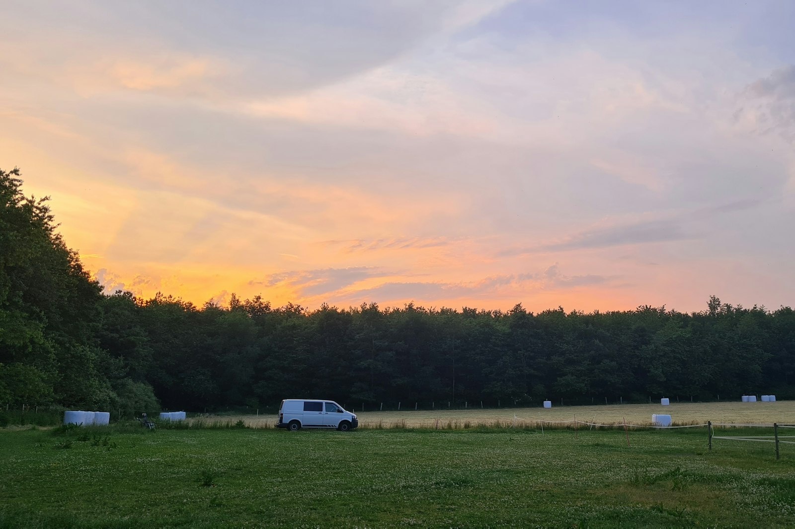 Wiese zwischen Wald und Pferdekoppel — On private ground in Blekendorf