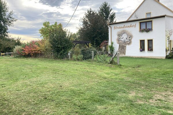 Wiese am Hühnergarten