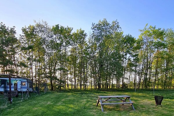 OLLYWOOD - Stellplatz an Wald und Wiese