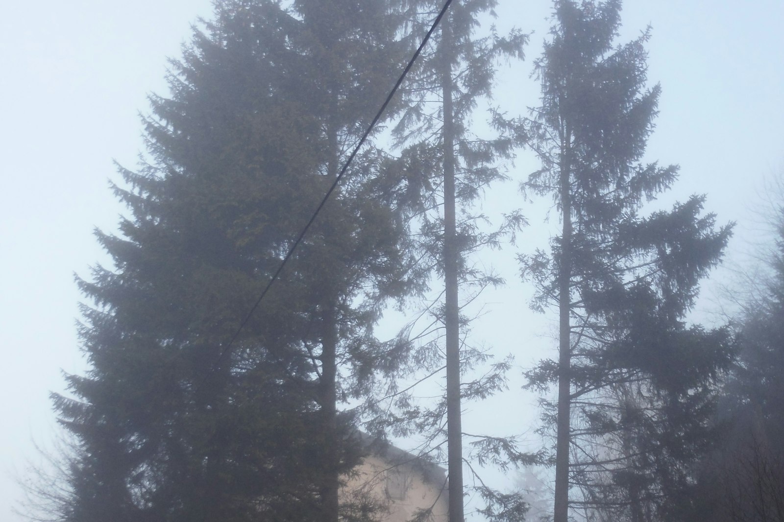 Wiese am Semmering mit herrlicher Bergluft — On private ground in Spital am Semmering