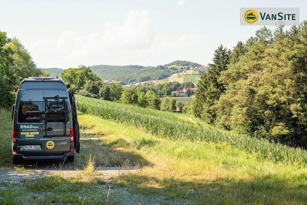 Blick in den Wald