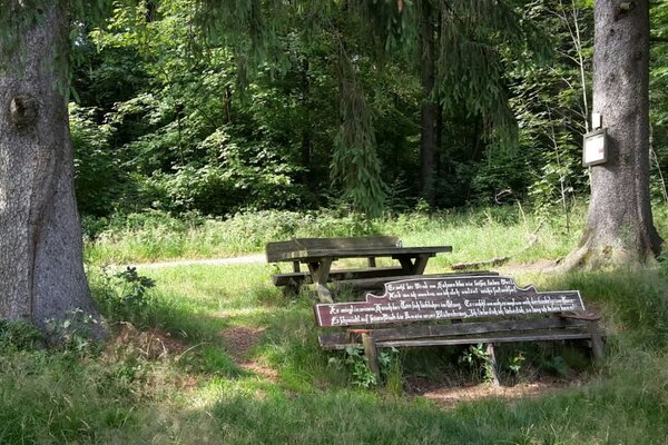 An der Bergwiese