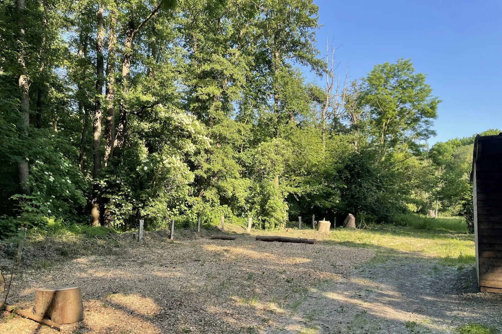 Ruhe & Natur auf ehemaliger Pferdekoppel am Wald — On private ground in Peine