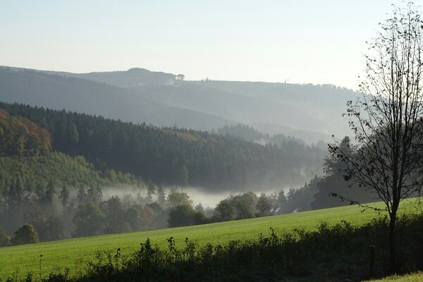 Wo sich Fuchs und Hase "Gute Nacht" sagen