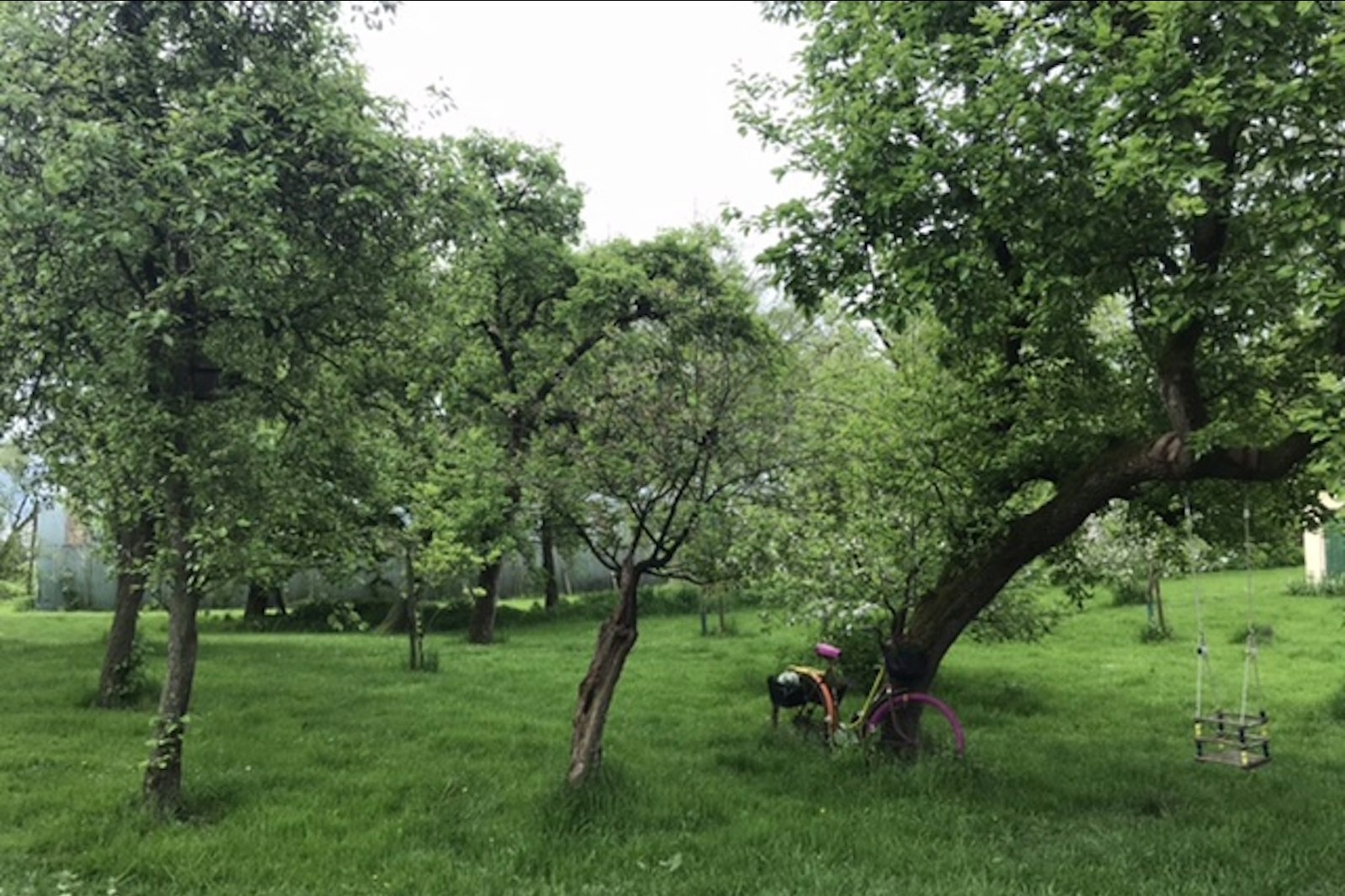Hinterm Hof an der Weide — On private ground in Raa-Besenbek