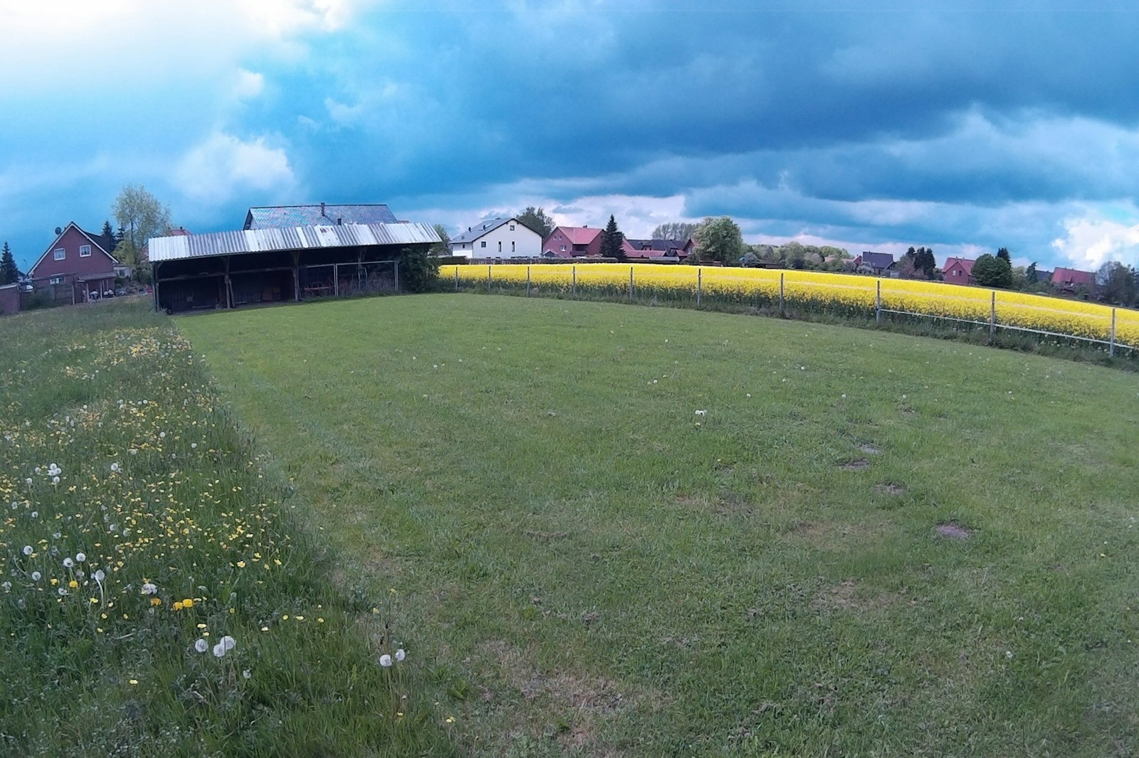 Wiese hinter unserem Haus. Zu — On private ground in Niedernwöhren