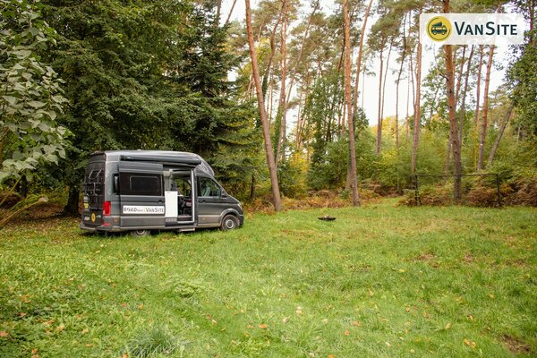 Wiese hinter dem Damwildgehege