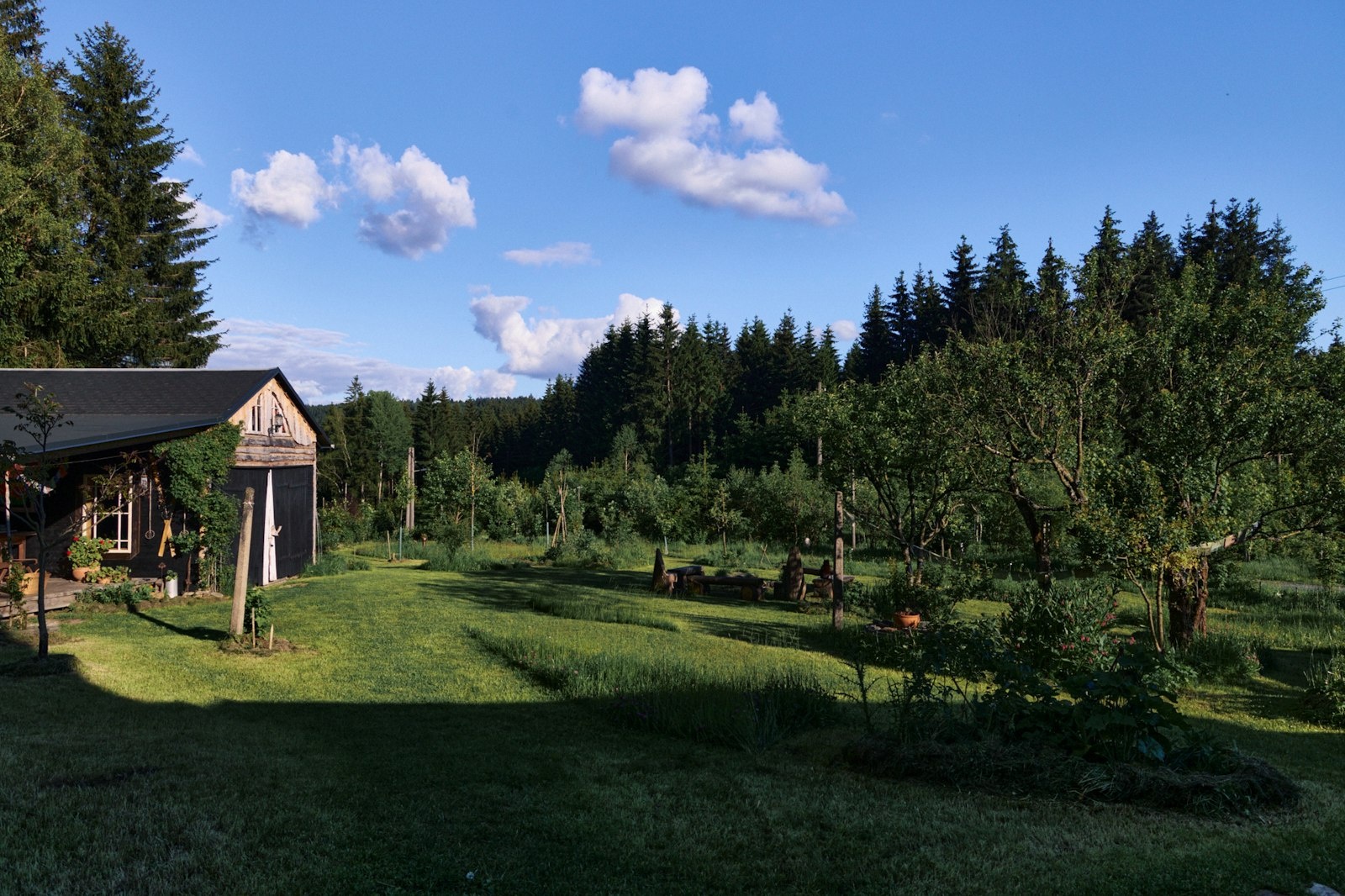 Blickinsfreie — On private ground in Schöneck