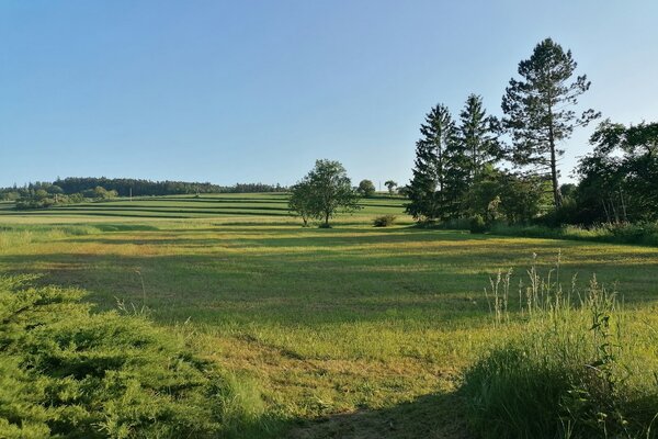 Wunderschönes Grundstück im Waldviertel bei Krems