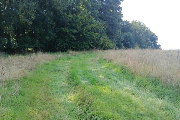 PB-HSK: Wildcampen - legal + allein im Schutz des Waldes