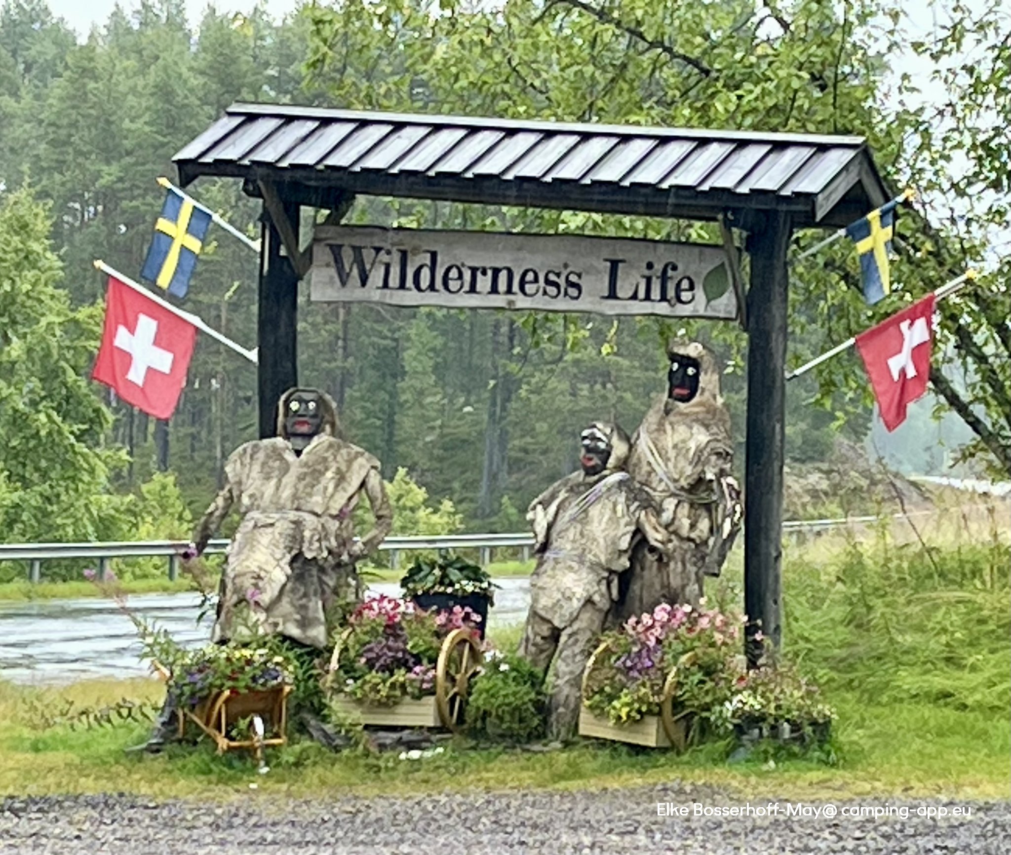 Wilderness Life — Foto 6