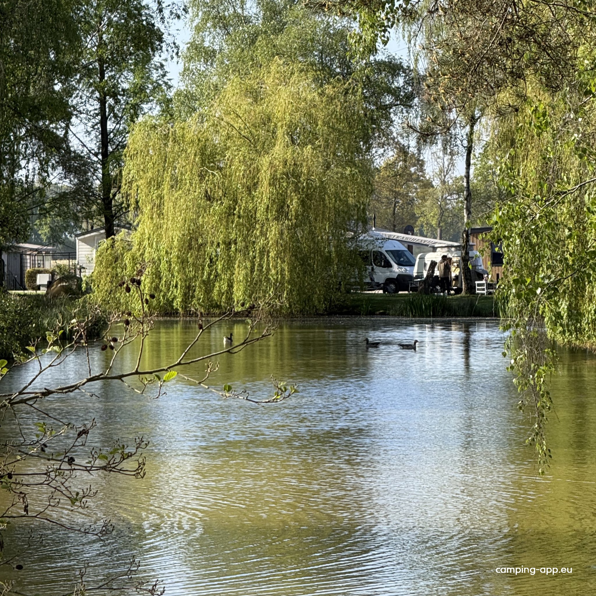 Papillon Kinrooi — Campingplatz in Kinrooi